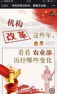 三农热门话题,“乡村振兴战略下的三农热点聚焦与未来展望”