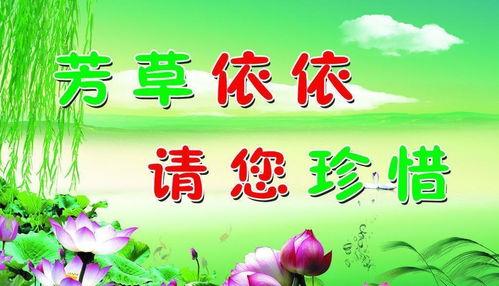 环保口号当前热门话题,聚焦环保新趋势与热门话题
