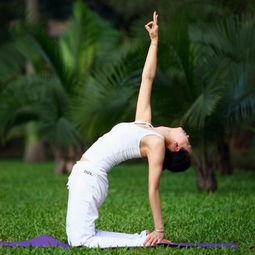 瑜伽活动热门话题英语,Top Yoga Trends: Exploring the Hottest Topics in the Yoga Community