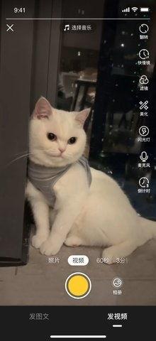 萌宠视频 热门话题,热门话题引发网友热议
