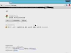 热门话题现象,揭秘当下社会热点背后的故事