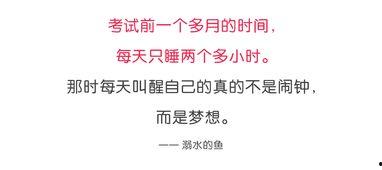 聊聊高考热门话题,聚焦热门话题，解码青春梦想