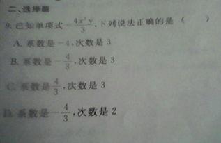 热门话题的作文400,解码热门话题背后的社会脉动