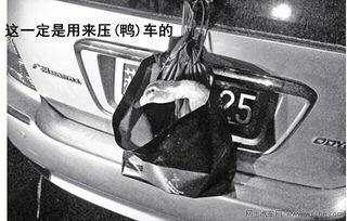 什么车牌能上热门话题,哪些车牌能轻松登上热门话题榜单