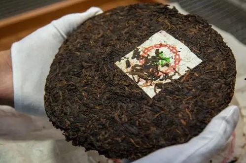 普洱热门话题推荐,热门话题下的茶文化之旅