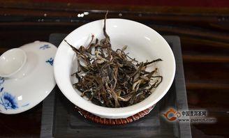 普洱热门话题推荐,热门话题下的茶文化之旅
