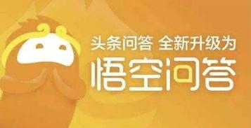 悟空问答今日热门话题,揭秘热门话题背后的热点与焦点