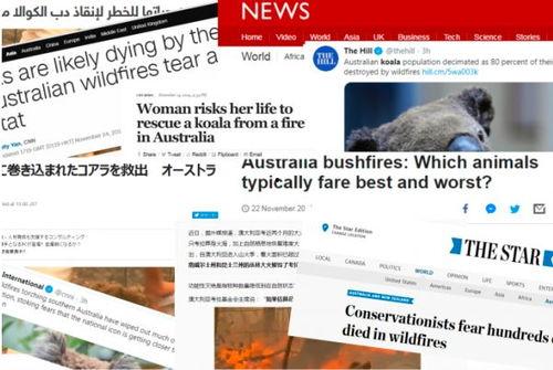 国内外热门话题,科技革新与未来社会变革的碰撞