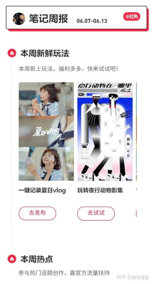 小红书热门话题参与,揭秘当下年轻人的潮流生活与消费观