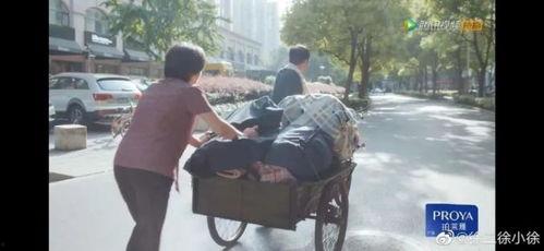 安家热门话题,聚焦房产中介行业，揭秘都市生活百态