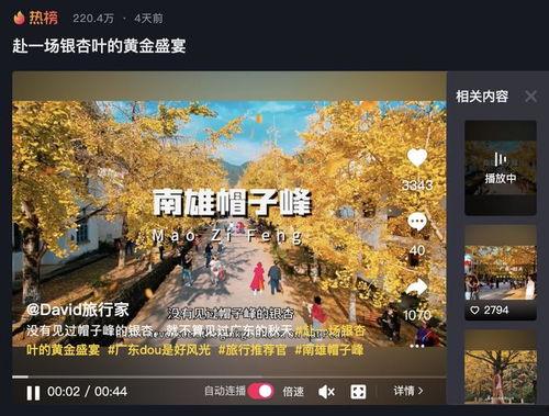 热门话题榜单黄金,解码当下社会热点与公众关注焦点