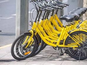 热门话题共享单车,绿色出行新风尚，城市交通变革的助推器