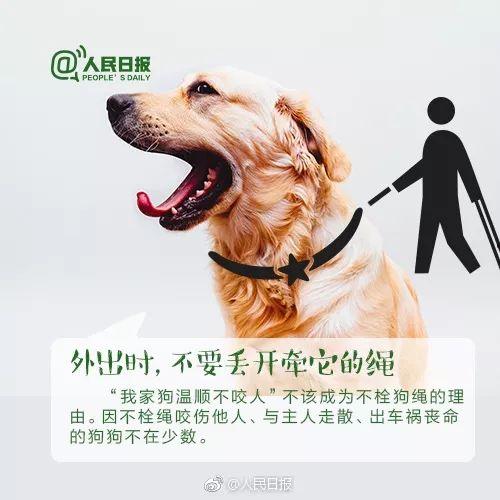 扮演狗狗视频热门话题