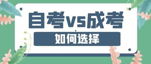 培训学校热门话题,揭秘培训学校行业新趋势与挑战