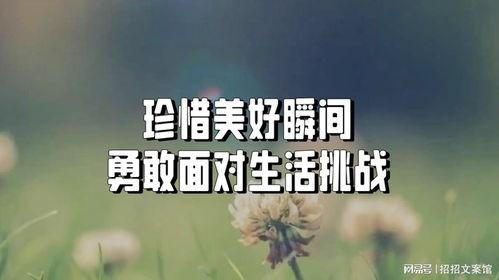 热门话题乐观心态英文,Embracing Positivity: A Journey Through the Power of Optimism in Today's World