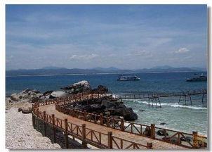 热门话题沙滩旅游,探索热门沙滩旅游胜地