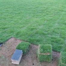 热门话题草坪图片,探索热门话题草坪的生态魅力