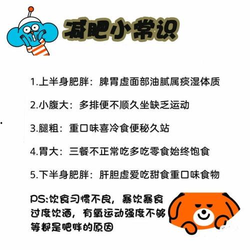 减肥小常识热门话题,掌握这些热门减肥小常识！