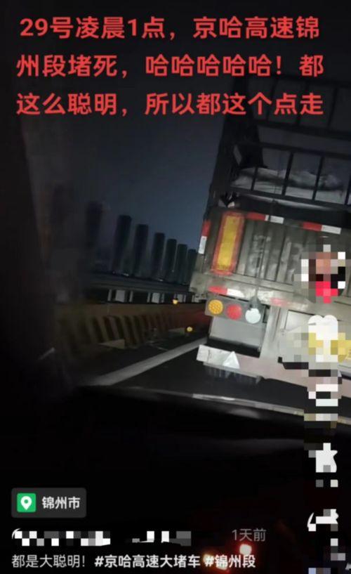 热门话题高速堵车截图,车流如织，出行困境一览无余