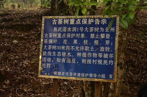 思茅区热门话题推荐,热门话题聚焦，带你领略魅力思茅