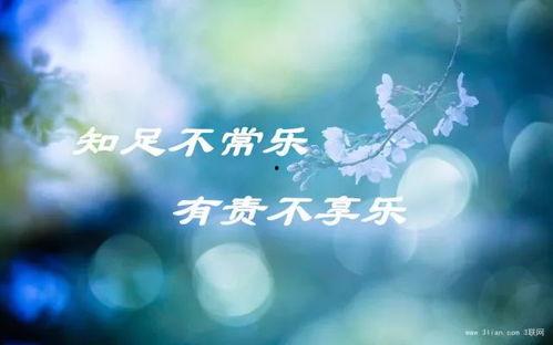 热门话题生活知足句子,拥抱生活美好瞬间的智慧之道