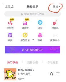 热门话题大全,聚焦时事热点，洞察社会脉动