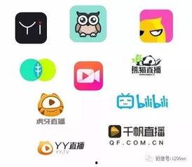 2017的热门话题,回顾那些引发热议的瞬间