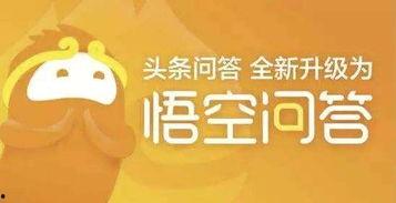 悟空问答最新热门话题,揭秘最新热门话题背后的热点与焦点