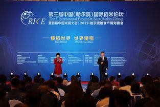 哈尔滨同城热门话题论坛,聚焦城市生活热点与民生焦点