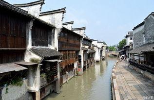 乌镇论坛热门话题推荐,数字赋能未来，共创智慧新篇章