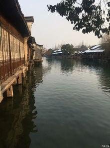 乌镇论坛热门话题推荐,数字赋能未来，共创智慧新篇章