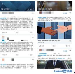 领英热门话题,揭秘职场成功的关键要素